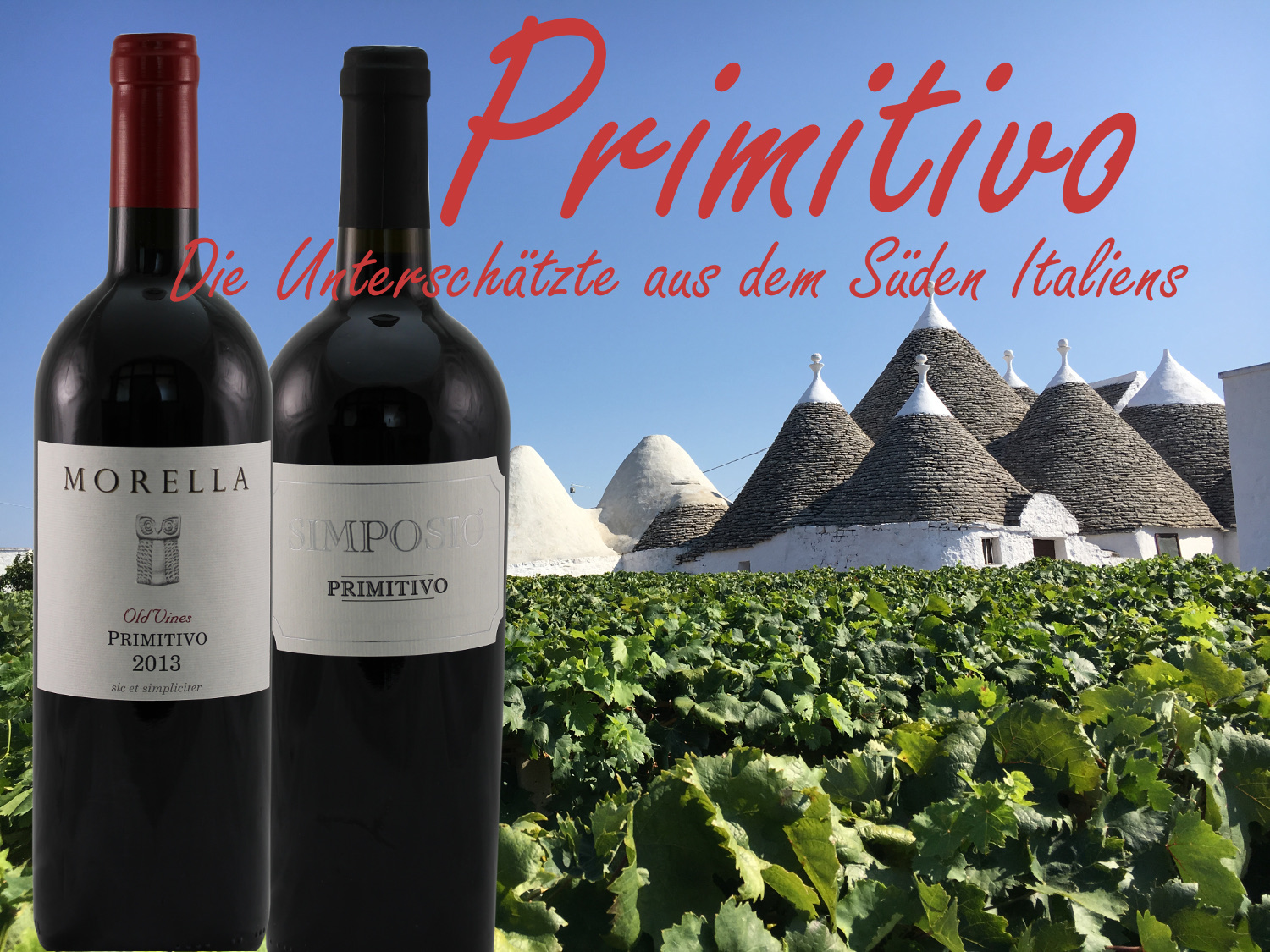Primitivo, die unterschätzte Rebsorte aus dem Süden Italiens