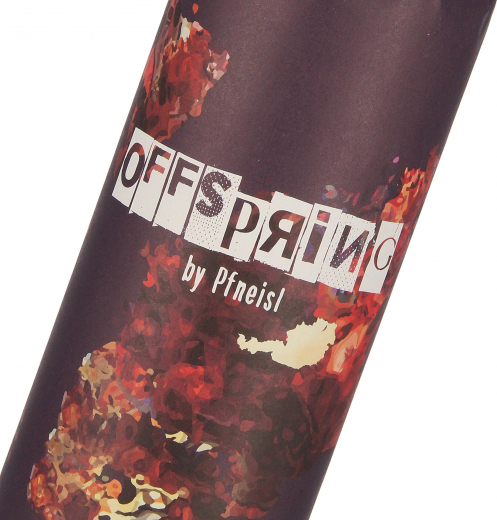 2020 Offspring Cuvée Rot, Weingut Pfneisl, Mittelburgenland