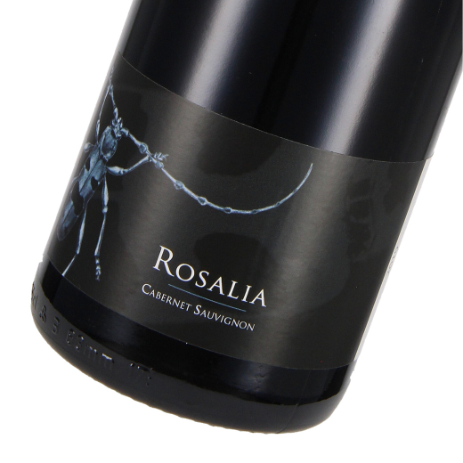 2019 Cabernet Sauvignon Rosalia; Domaine du Closel, Loire