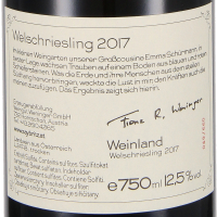 2017 Welschriesling „Saybritz“ - Orange; Weingut Weninger, Mittelburgenland