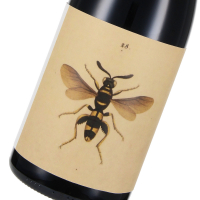 2019 Sangiovese Predappio DOC "Il Sangiovese", Magnum, Azienda Agricola Noelia Ricci