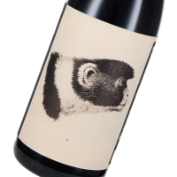 2019 Sangiovese Predappio Riserva DOC "Godenza", Azienda Agricola Noelia Ricci