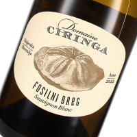 2022 Fosilni Breg; Sauvignon Blanc Vrhunsko Vino ZGP, Domaine Ciringa