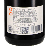 2022 Rubin Carnuntum DAC, Weingut Philipp Grassl, Carnuntum