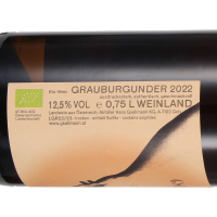 2022 Grauburgunder, Andreas Gsellmann, Neusiedlersee