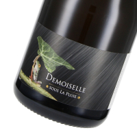 2020 Pétillant Naturel Chenin Blanc Demoiselle sous la Pluie; Domaine du Closel, Loire