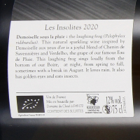 2020 Pétillant Naturel Chenin Blanc Demoiselle sous la Pluie; Domaine du Closel, Loire