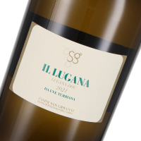 2023 Il Lugana DOC Lugana, Pasini San Giovanni