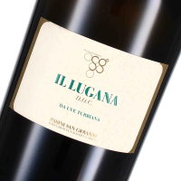 2023 Il Lugana DOC Lugana, Pasini San Giovanni - Magnumflasche