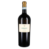 2023 Il Lugana DOC Lugana, Pasini San Giovanni - Magnumflasche