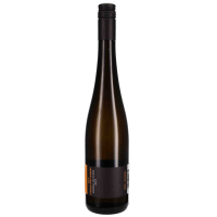 2021 Grüner Veltliner Steiner Pfaffenberg (Kremstal), Weingut Tegernseerhof, Wachau