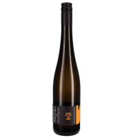 2023 Grüner Veltliner Kremstal DAC Ried Steiner Pfaffenberg, Weingut Tegernseerhof, Wachau