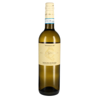 2024 Verdicchio di Matelica DOC, Collestefano