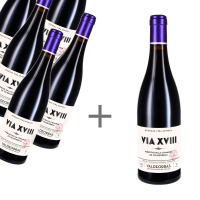 5+1 Rotwein-Paket - 2018 Tinto „Via XVIII“, Bodegas Viña Somoza – D.O. Valdeorras, Galicien