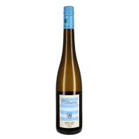 2023 Riesling trocken Estate, Wittmann, Westhofen/Wonnegau