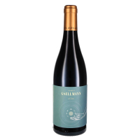 2021 Blaufränkisch Astral Bio, Weingut Hans und Andreas Gsellmann, Neusiedlersee