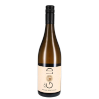 2024 Grauer Burgunder, Weingut Leon Gold, Württemberg