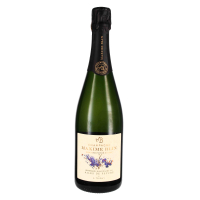 Champagne Blanc de Noirs extra brut Ailes de Psyché , Domaine Maxime Blin