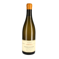 2023 Trebbiano dAbruzzo DOC Vigneto di Popoli, Valle Reale, Popoli, Pescara