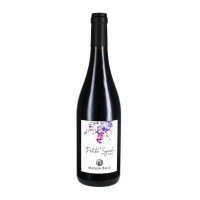 2025 La Petite Syrah, Domaine Belle